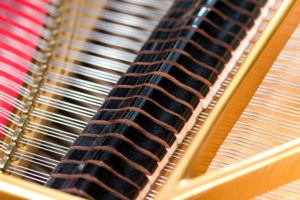 Ibach Flügel Richard Wagner | Großauer Pianos (Foto: Karl-Heinz Krauskopf)