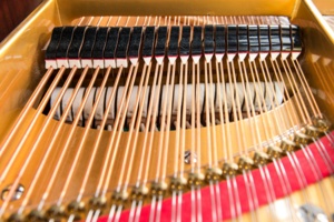 Ibach Flügel Richard Wagner | Großauer Pianos (Foto: Karl-Heinz Krauskopf)