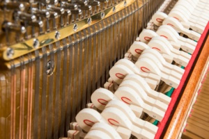 Großauer 129 - Hammerköpfe (Foto: Karl-Heinz Krauskopf)