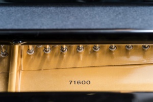 Ibach Flügel Richard Wagner | Großauer Pianos (Foto: Karl-Heinz Krauskopf)