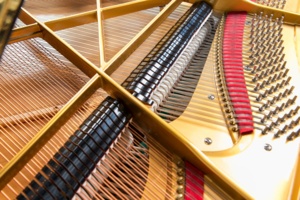 Ibach Flügel Richard Wagner | Großauer Pianos (Foto: Karl-Heinz Krauskopf)