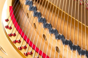 Ibach Flügel Richard Wagner | Großauer Pianos (Foto: Karl-Heinz Krauskopf)
