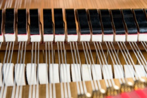Ibach Flügel Richard Wagner | Großauer Pianos (Foto: Karl-Heinz Krauskopf)