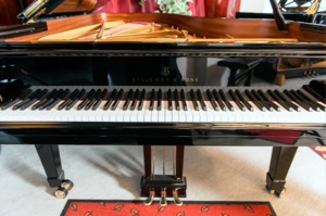 Steinway Flügel (Foto: Karl-Heinz Krauskopf)